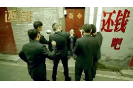 双清融资清欠服务